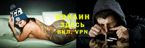 СК Новозыбков