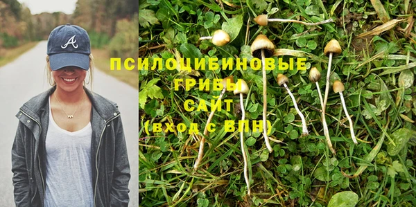 соль ск Нефтекумск