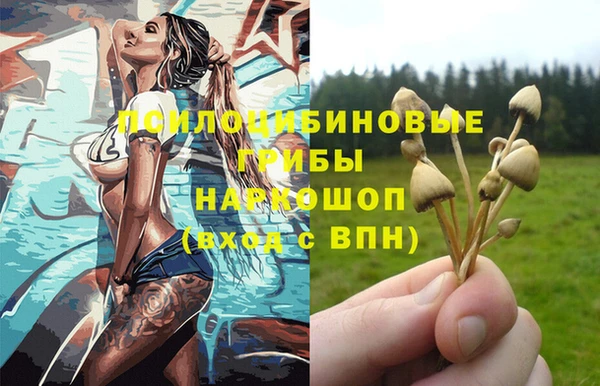 СК Новозыбков