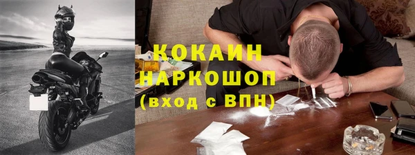 СК Новозыбков